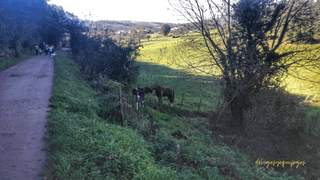 cueva del valle