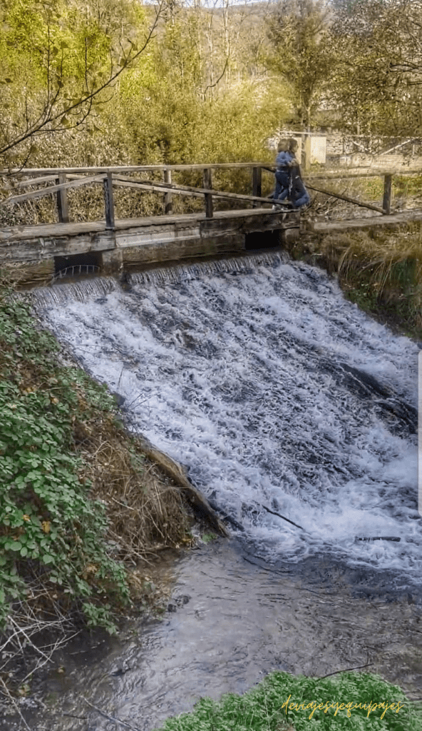 Nacimiento del Ebro