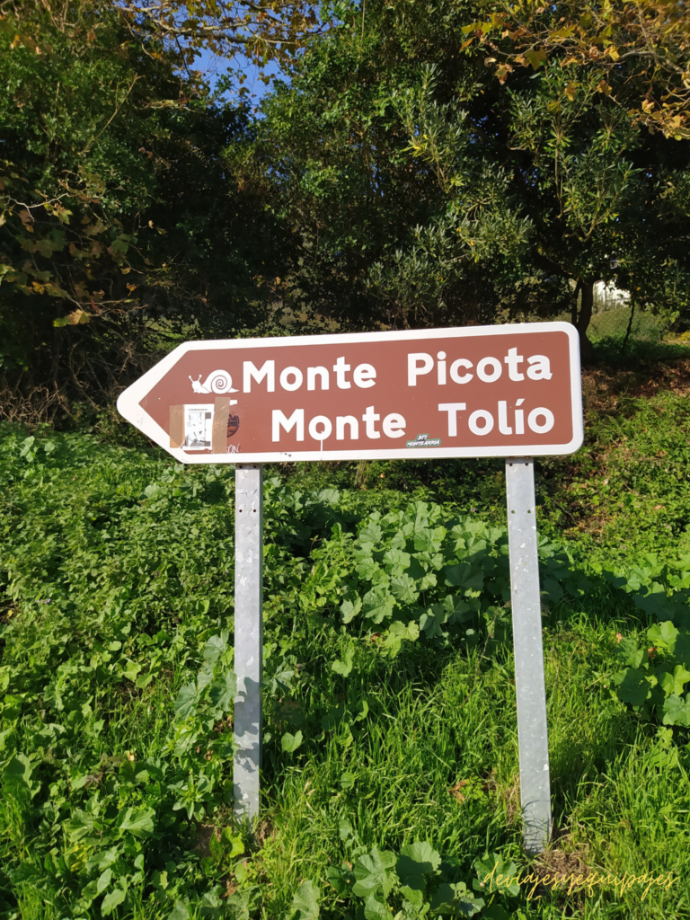 Monte Picota