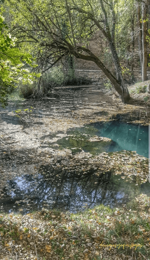 Nacimiento del Ebro