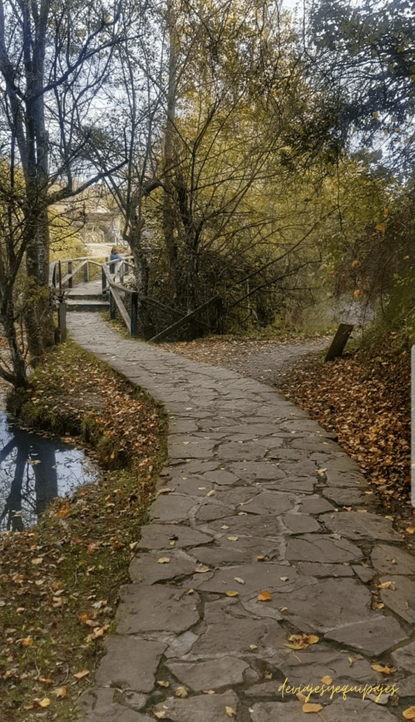 Nacimiento del Ebro