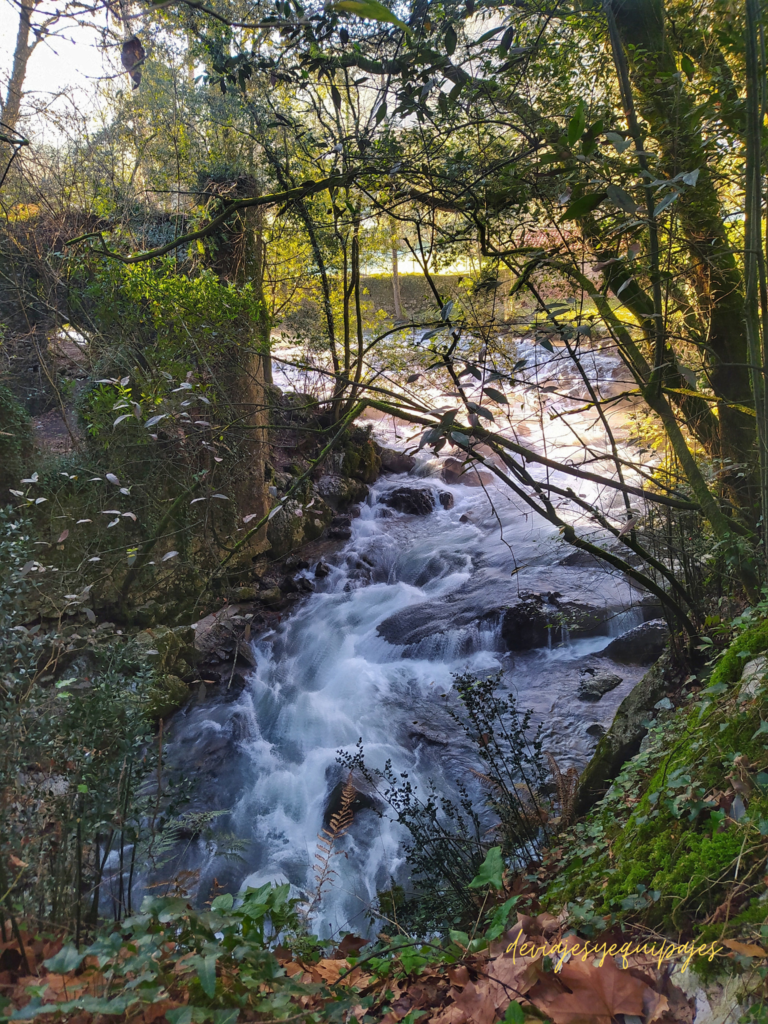 Fuente del Frances