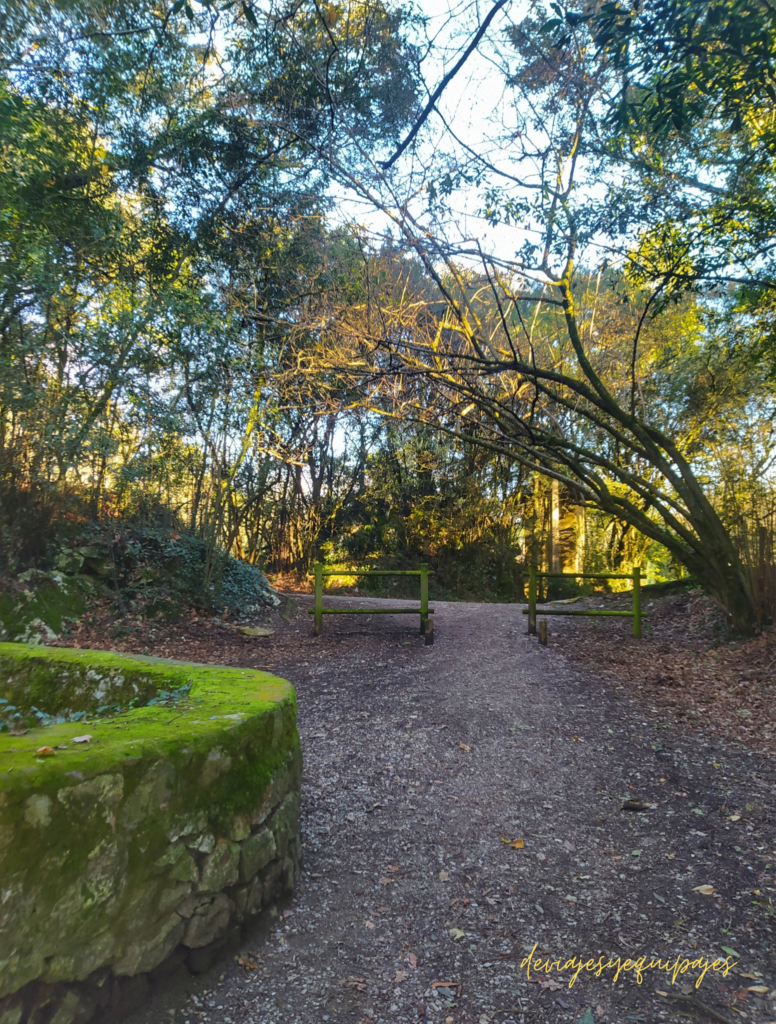 Fuente del Francés.