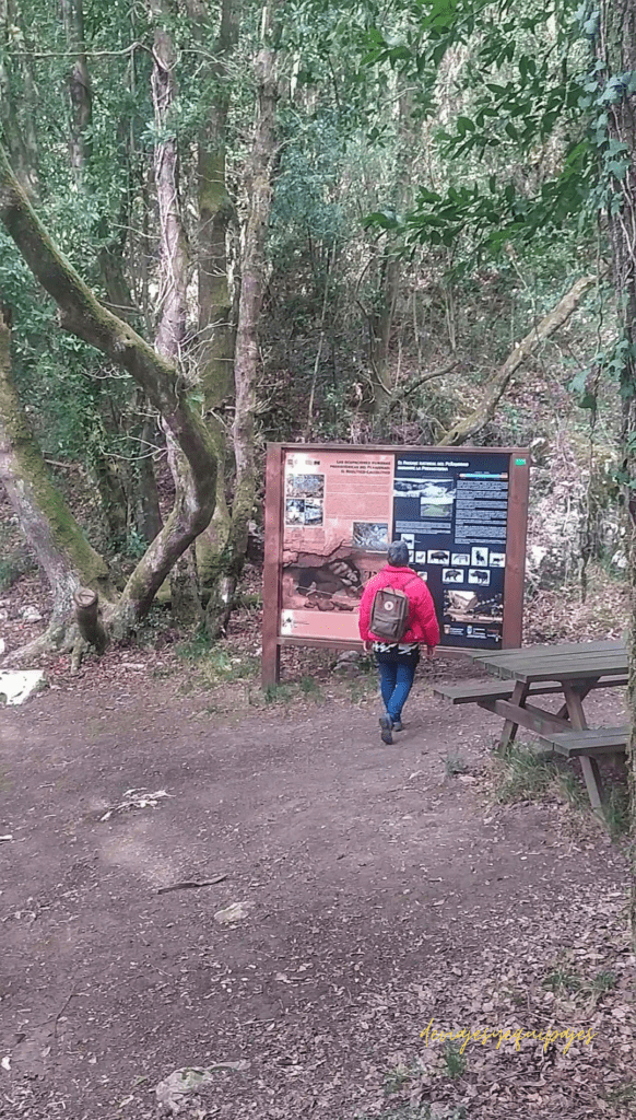 Cueva del Pendo